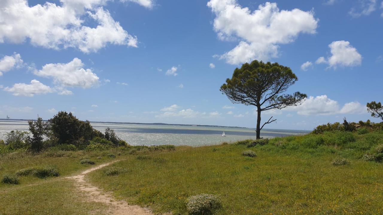 Appartement A 300M De La Plage Saint-Georges-de-Didonne Εξωτερικό φωτογραφία